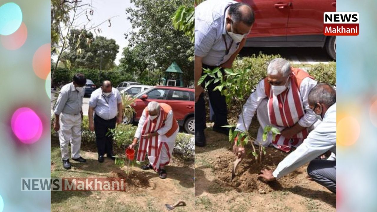 Untitled design (24)