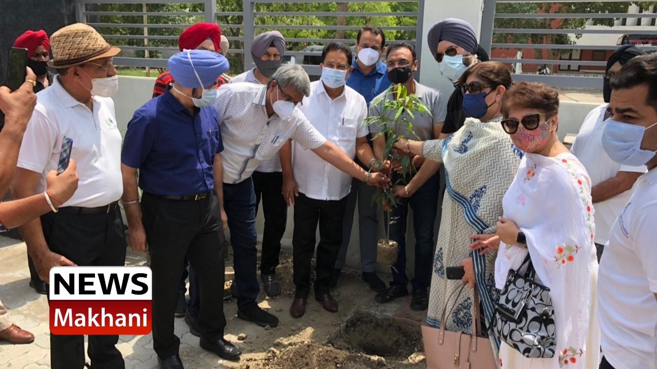 Untitled design (51)