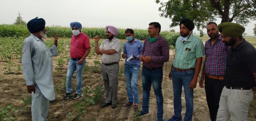 WhatsApp Image 2021-07-02 at 00.32.57