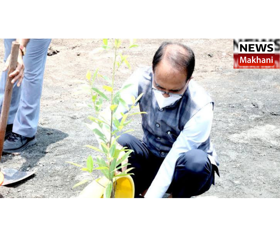 0001-5623510060_20210809_194540_0000