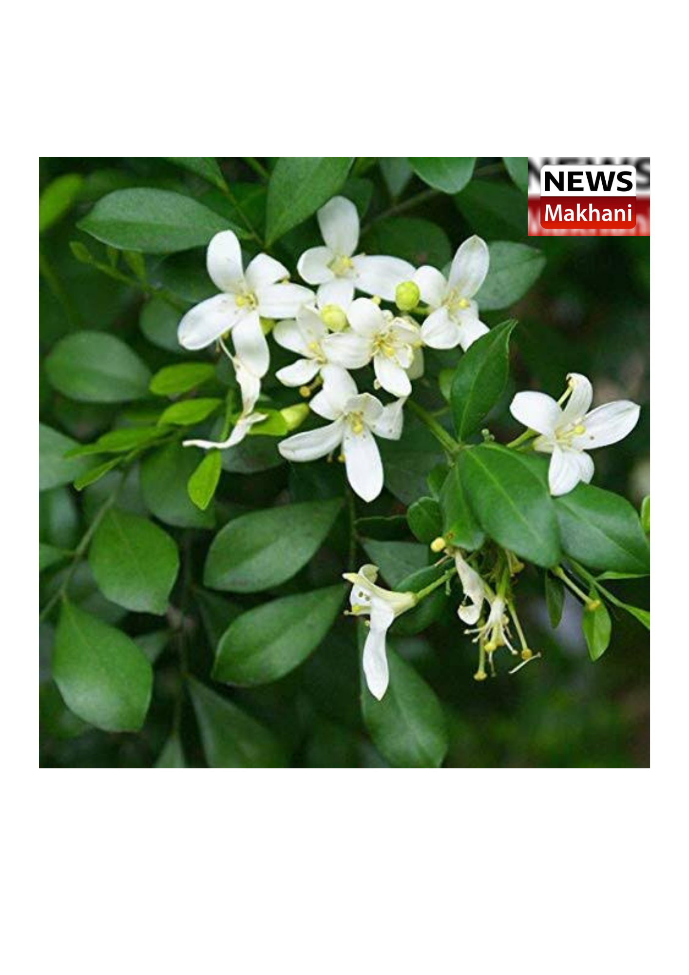 0001-6300529494_20210820_175505_0000