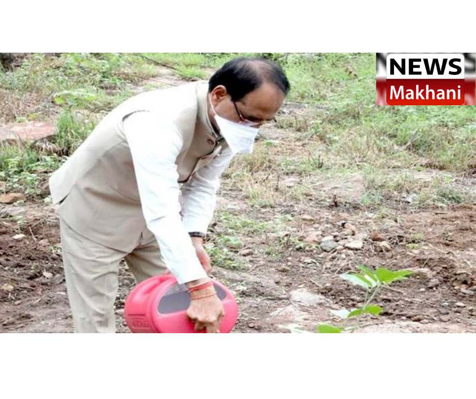 0001-6394003652_20210822_144148_0000