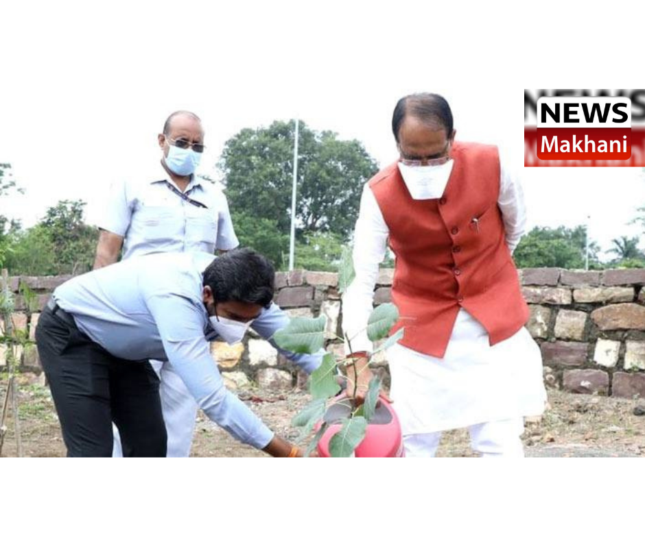 0001-6847654359_20210829_212243_0000