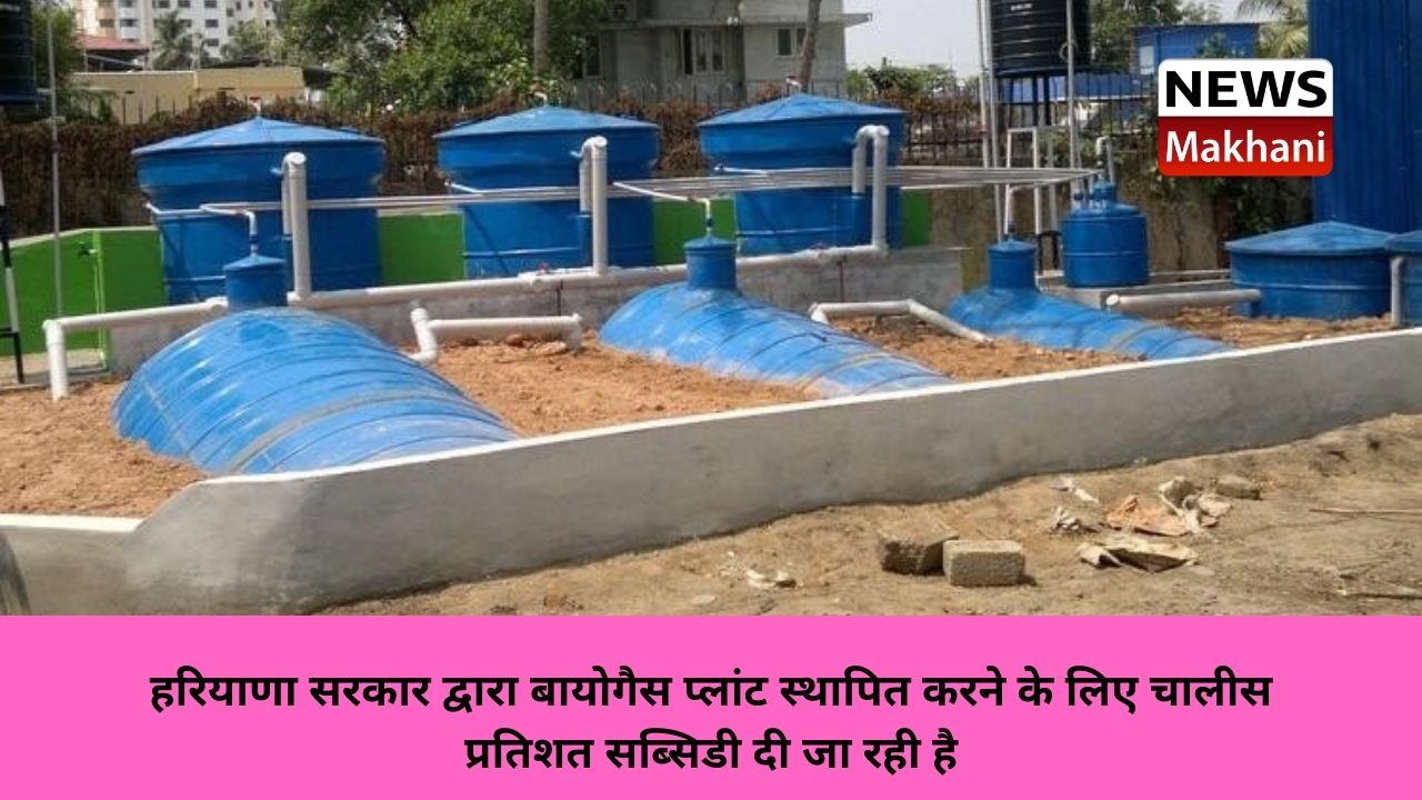 Untitled design - 2021-08-01T153247.684