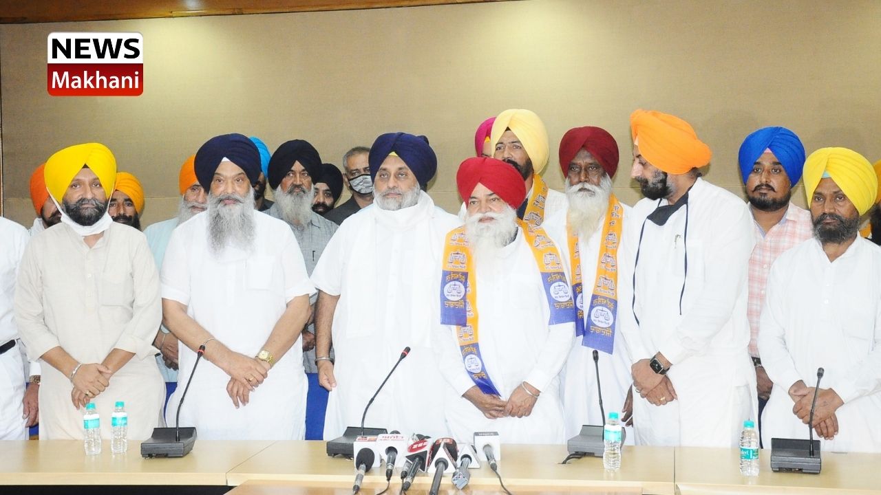 Untitled design - 2021-08-05T104203.591