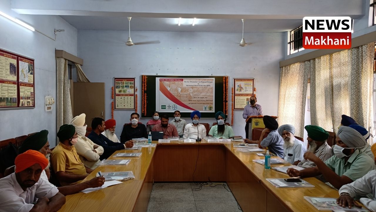 Untitled design - 2021-08-05T182702.092