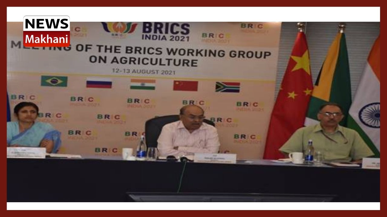 Untitled design - 2021-08-14T124223.620