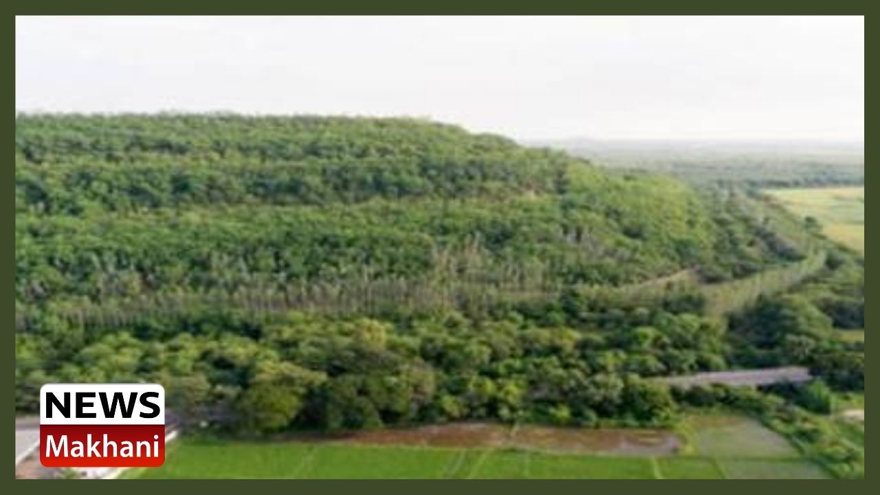 Untitled design - 2021-08-17T145748.915