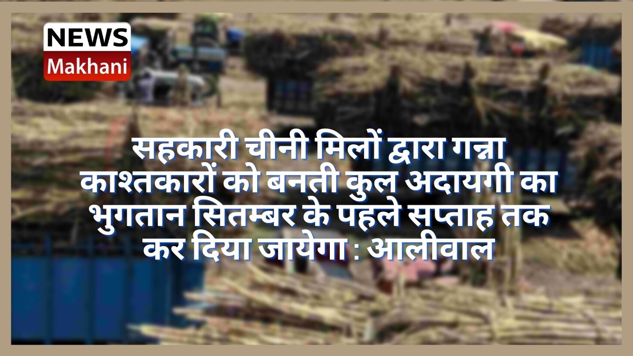 Untitled design - 2021-08-18T183231.881