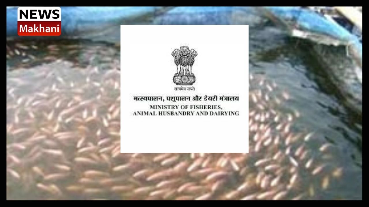 Untitled design - 2021-08-28T164610.823