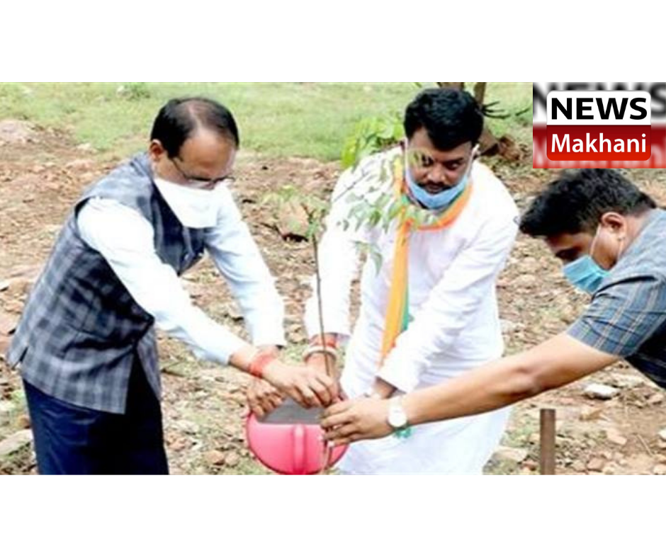 0001-7427936928_20210908_111839_0000