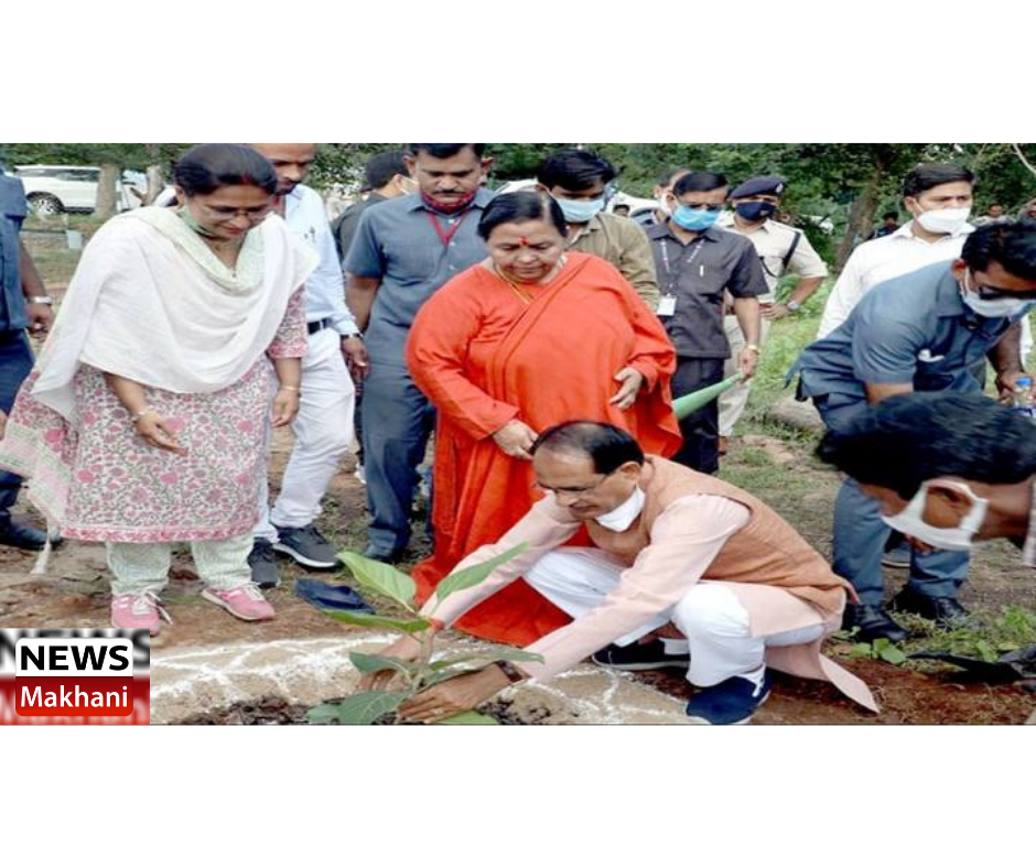 0001-7430199332_20210908_121315_0000