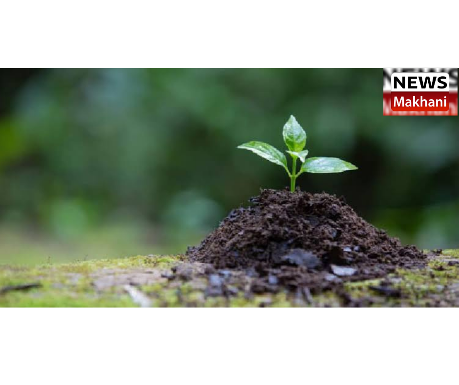 0001-7442649450_20210908_164531_0000