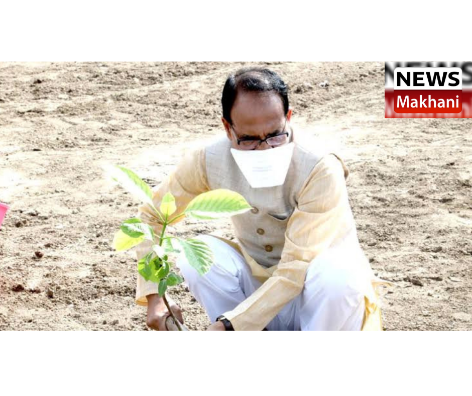 0001-8504335037_20210923_203259_0000