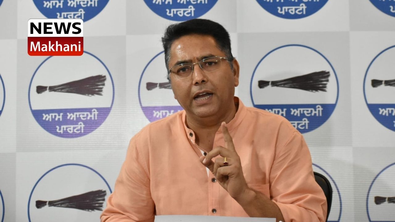 AMAN ARORA AMAN ARORA