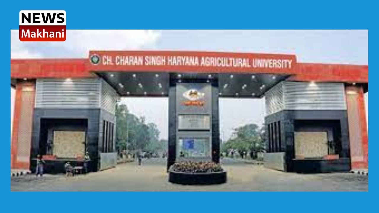 Untitled design - 2021-09-01T150415.510