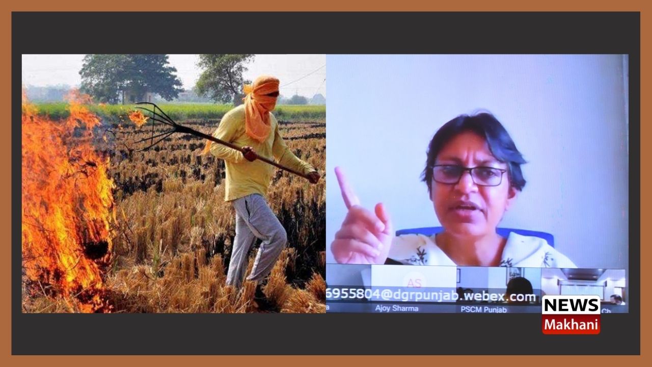 Untitled design - 2021-09-10T180301.712