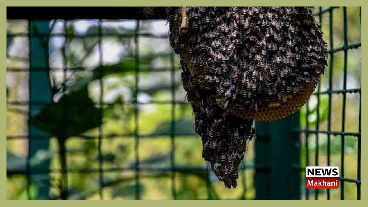 Untitled design - 2021-09-10T180831.666