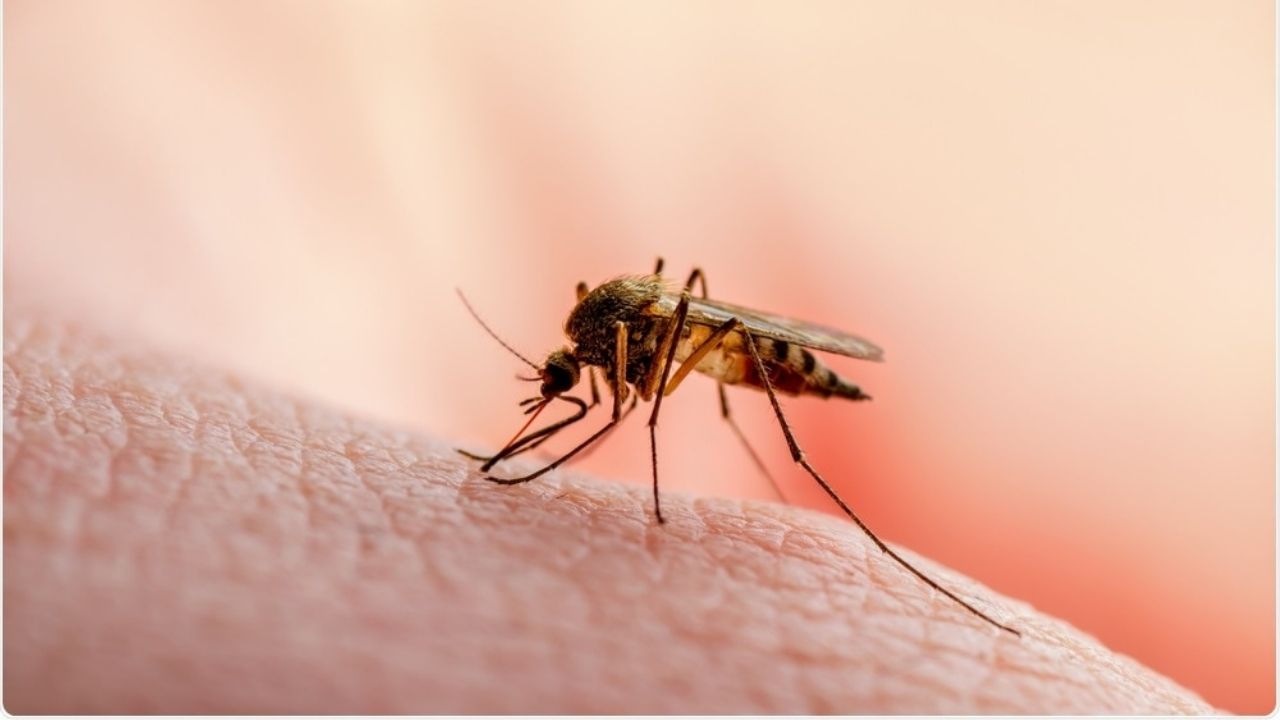 Untitled design (35)