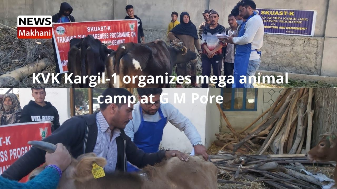 KVK Kargil-1 organizes mega animal camp at G M Pore