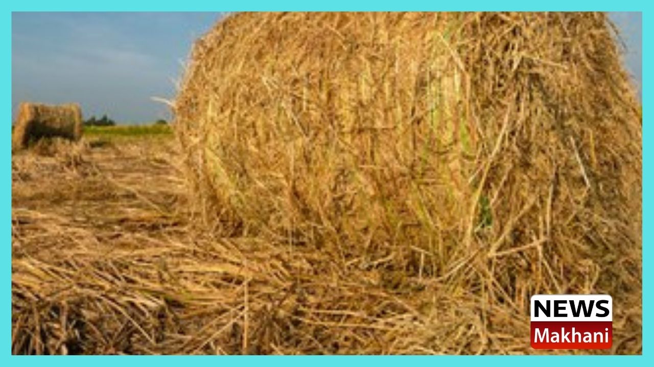 Untitled design - 2021-10-06T164949.180