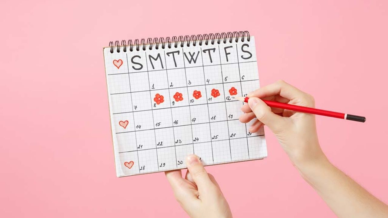 Untitled design (80)