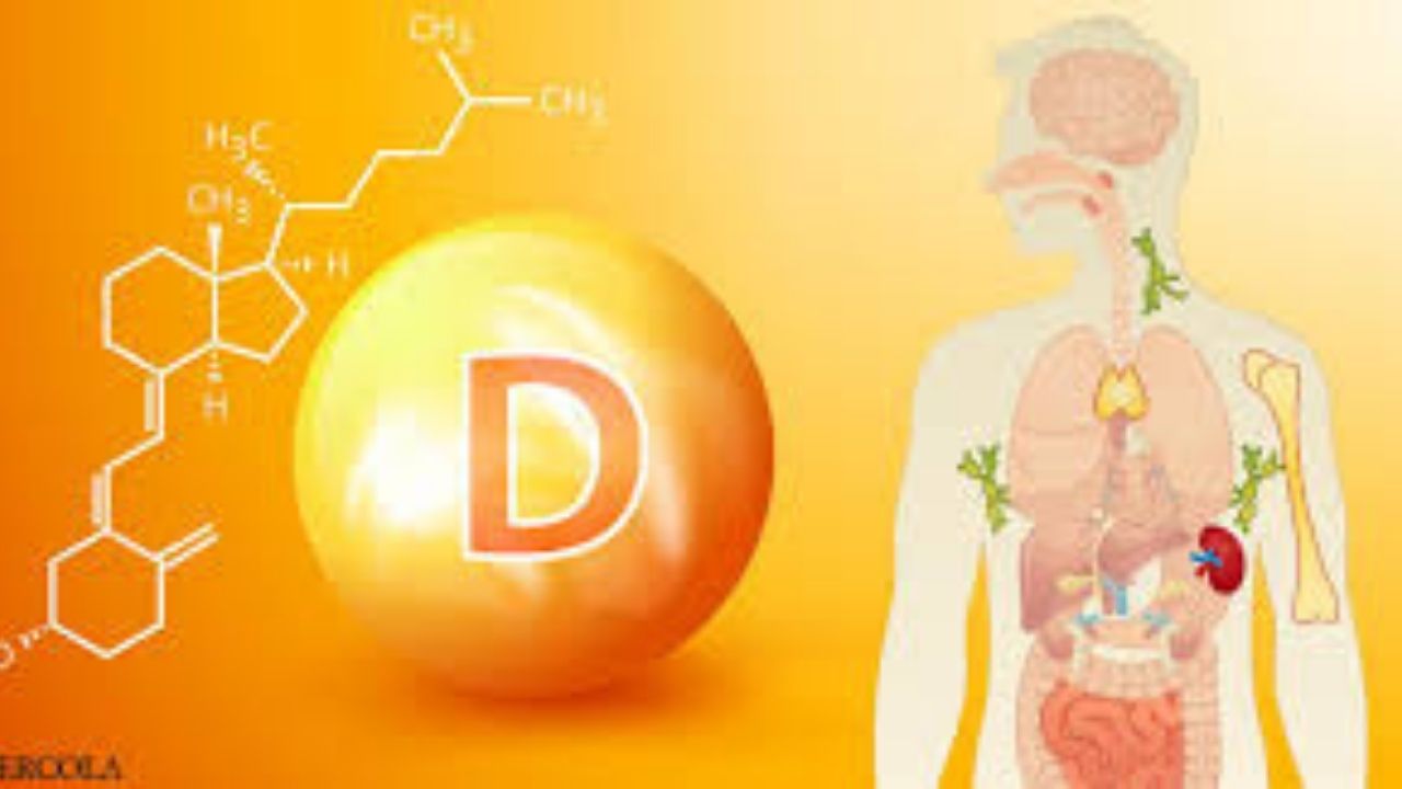 Untitled design (83)