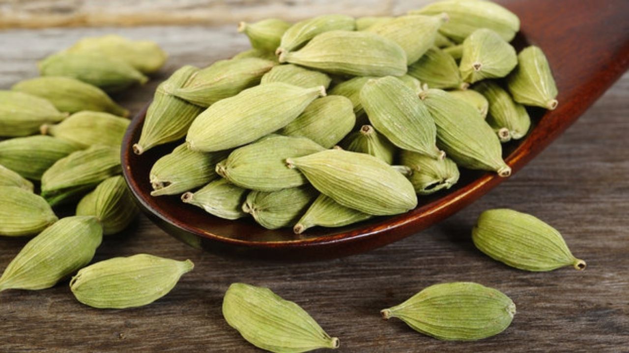 Untitled design (87)