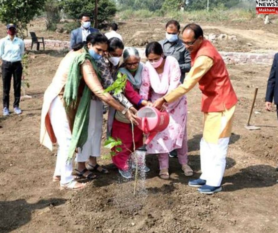 Untitled design - 2021-11-17T220606.623