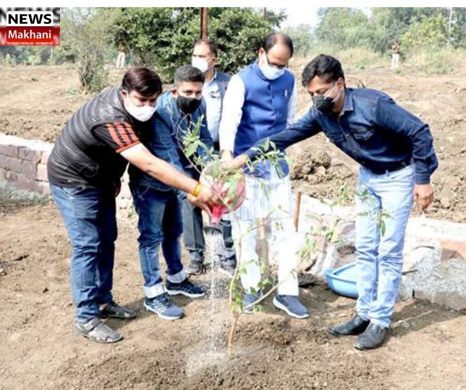 Untitled design - 2021-11-22T213345.510