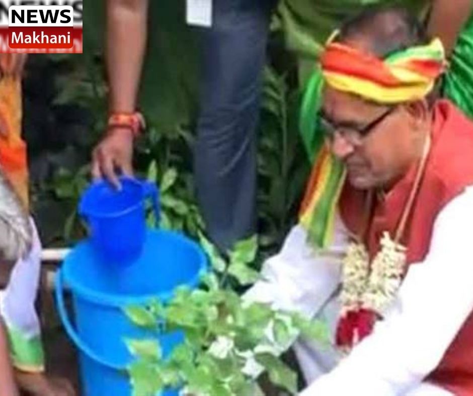 Untitled design - 2021-11-24T212949.295