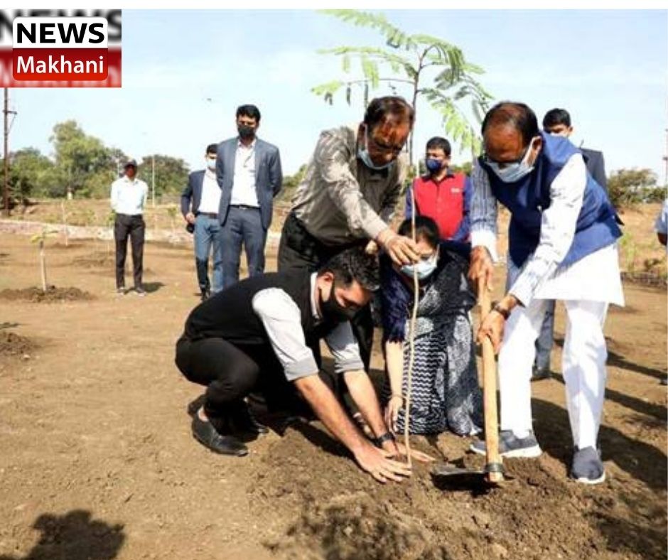 Untitled design - 2021-11-29T214944.162