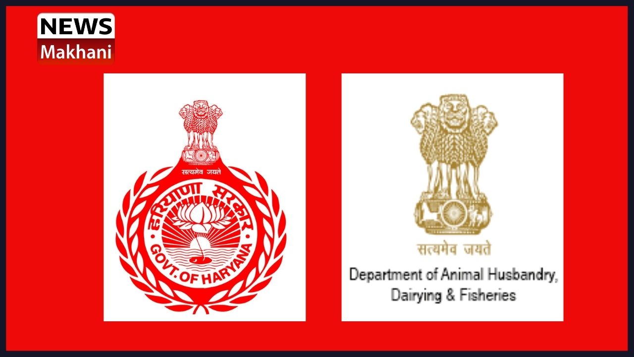 Untitled design (44)