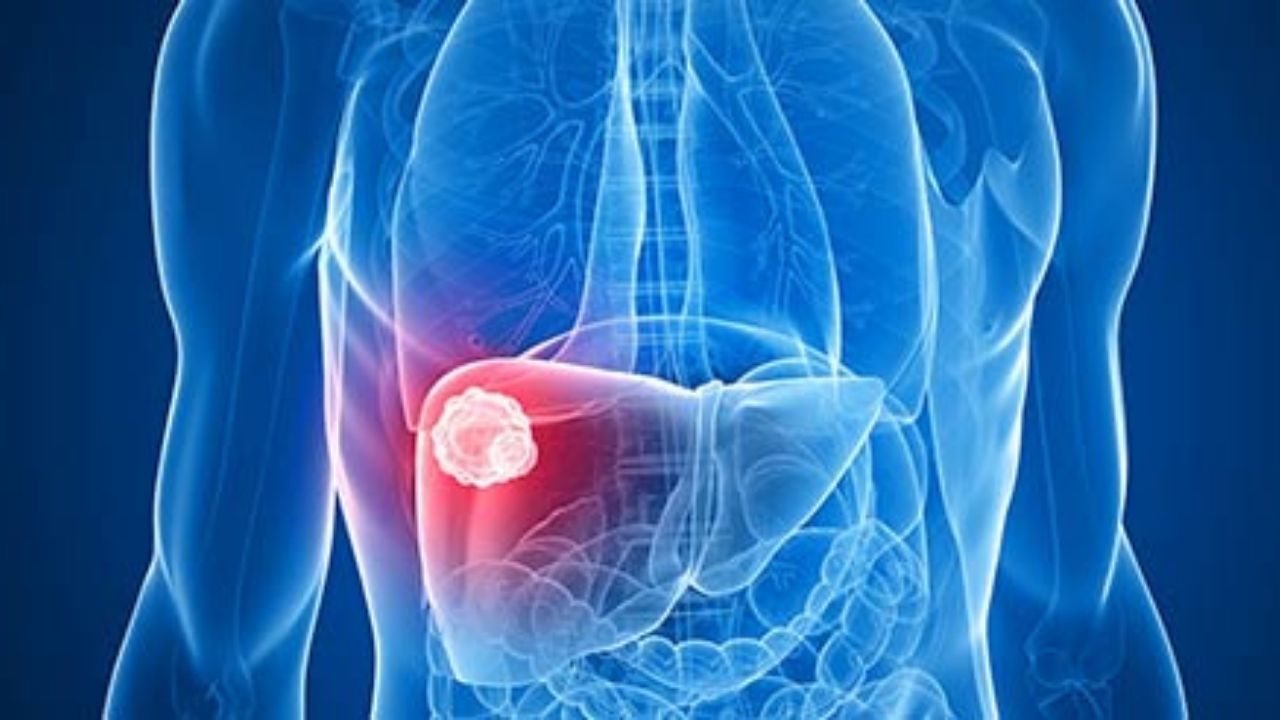 Untitled design (89)