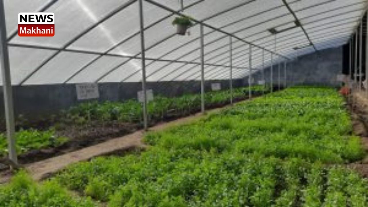 Ladakh Winter Greenhouse will be vital for Employment generation and food sustainability Ladakh Winter Greenhouse will be vital for Employment generation and food sustainability