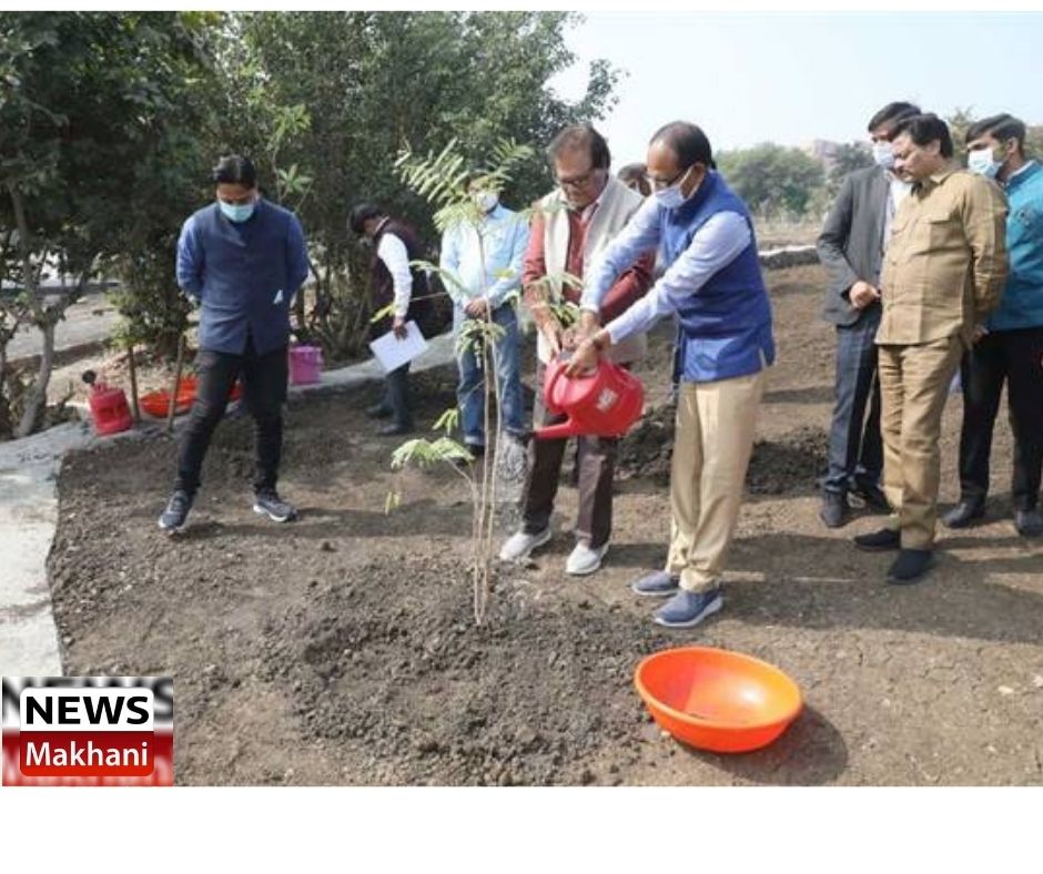 Untitled design - 2021-12-06T214938.742