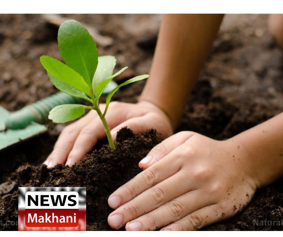 Untitled design - 2021-12-14T194834.424