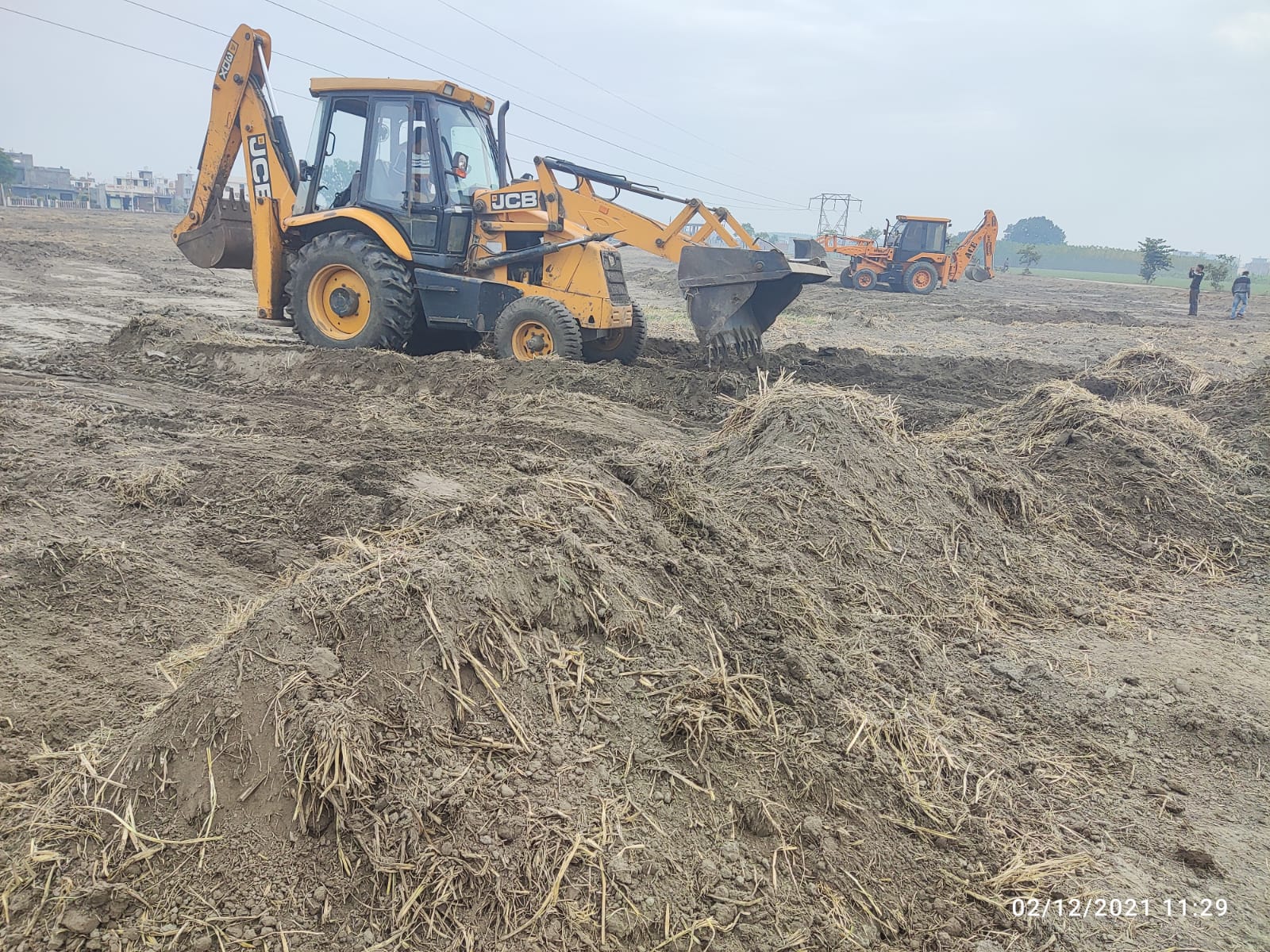 illegal colony illegal colony