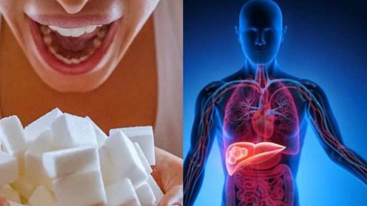 jpg_20211204_202439_0000