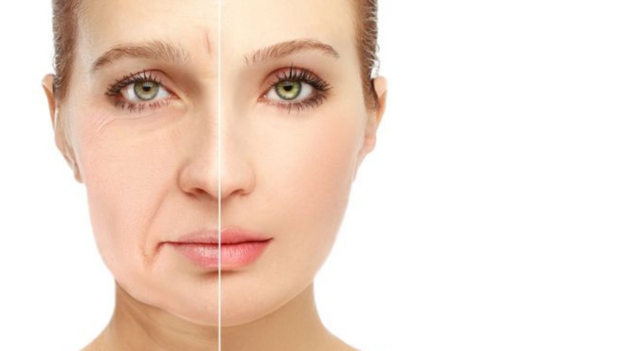 jpg_20211205_234532_0000