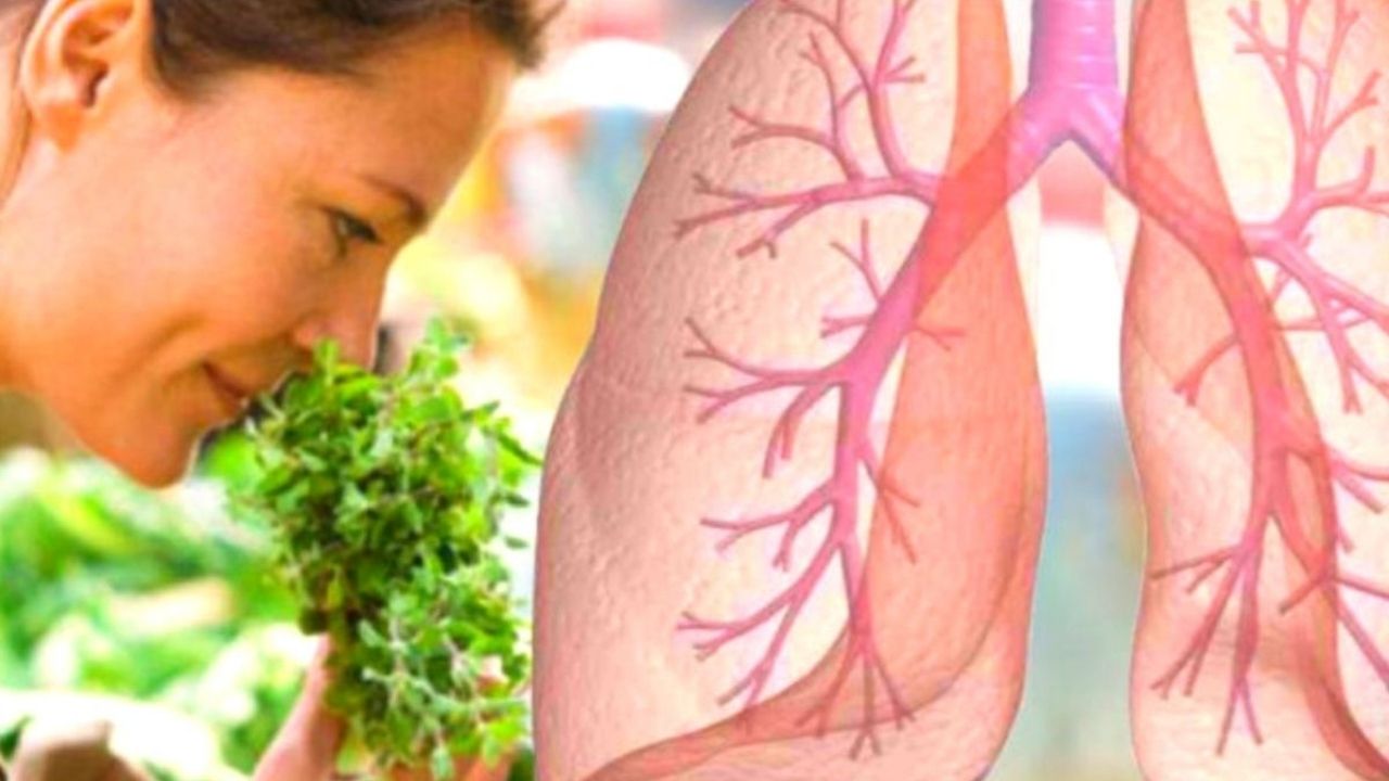 jpg_20211208_101931_0000