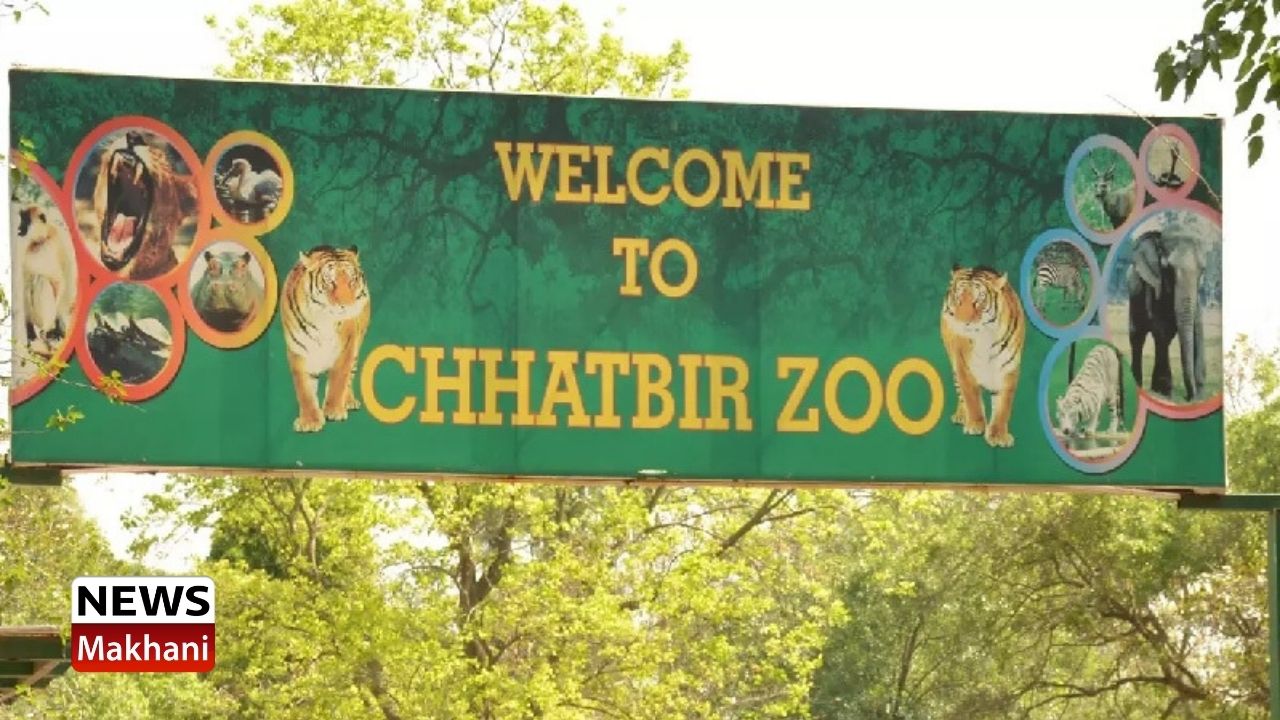 CHHATBIR ZOO CHHATBIR ZOO