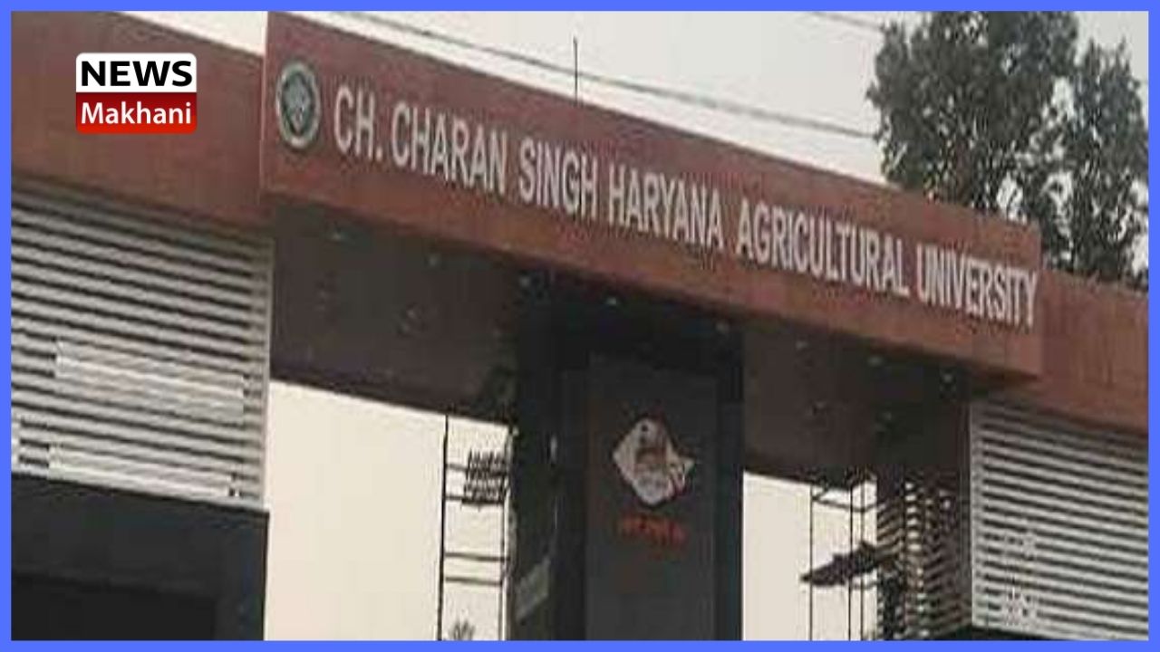 choudhary charan singh agriculture university