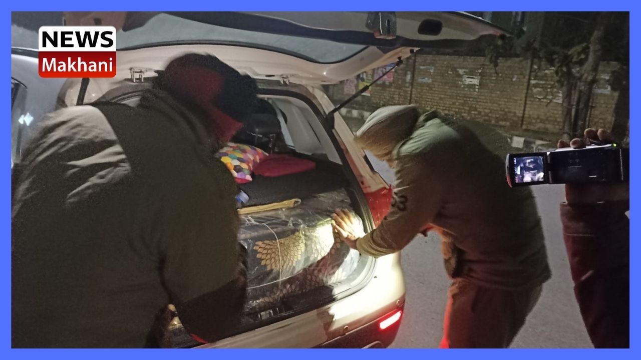 Untitled design - 2022-01-13T192707.908