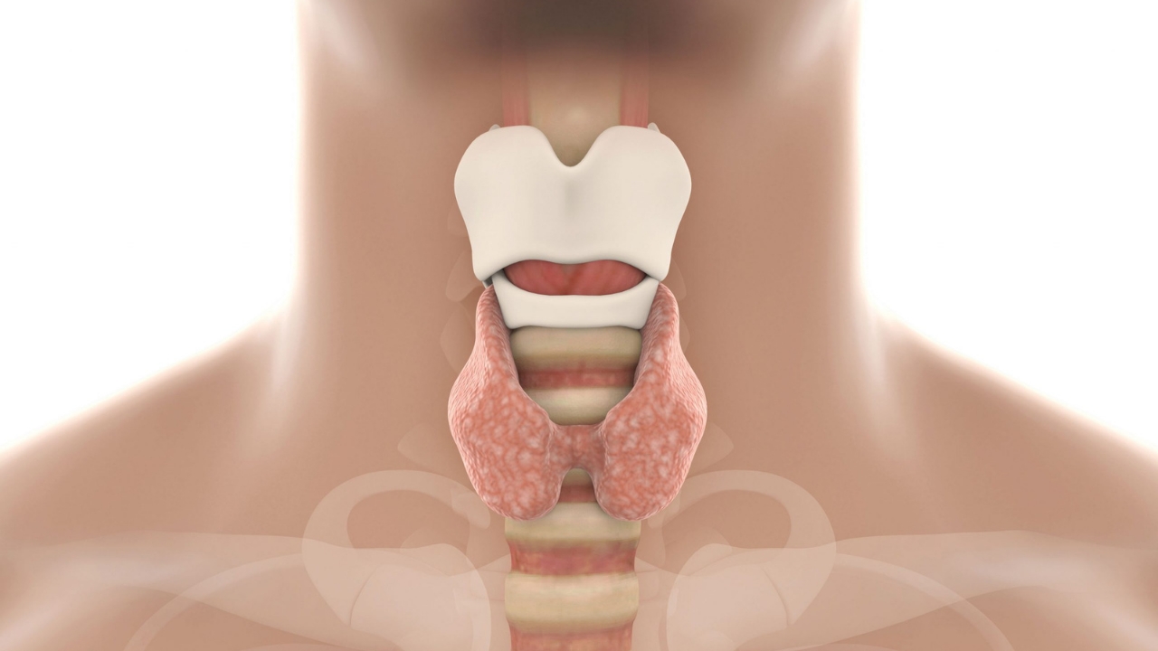 20220218_192246_0000