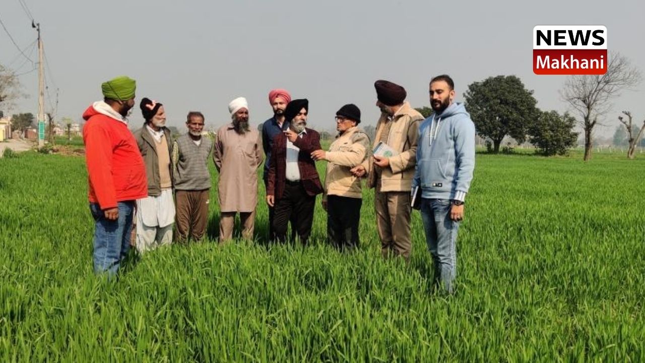 AMRIK SINGH AMRIK SINGH