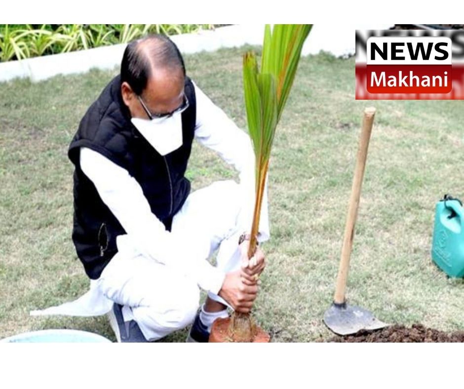 Untitled design - 2022-02-20T133458.440