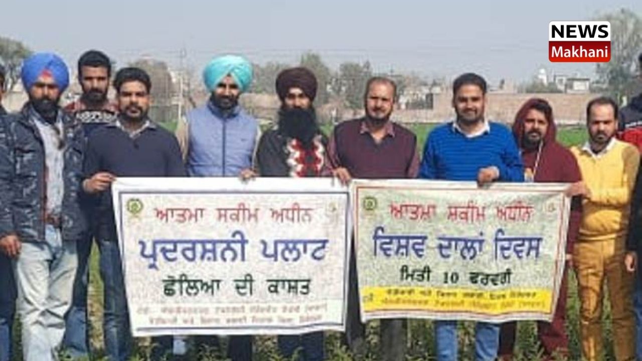 World Pulses Day World Pulses Day