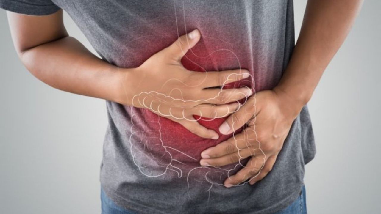 jpg_20220209_160520_0000