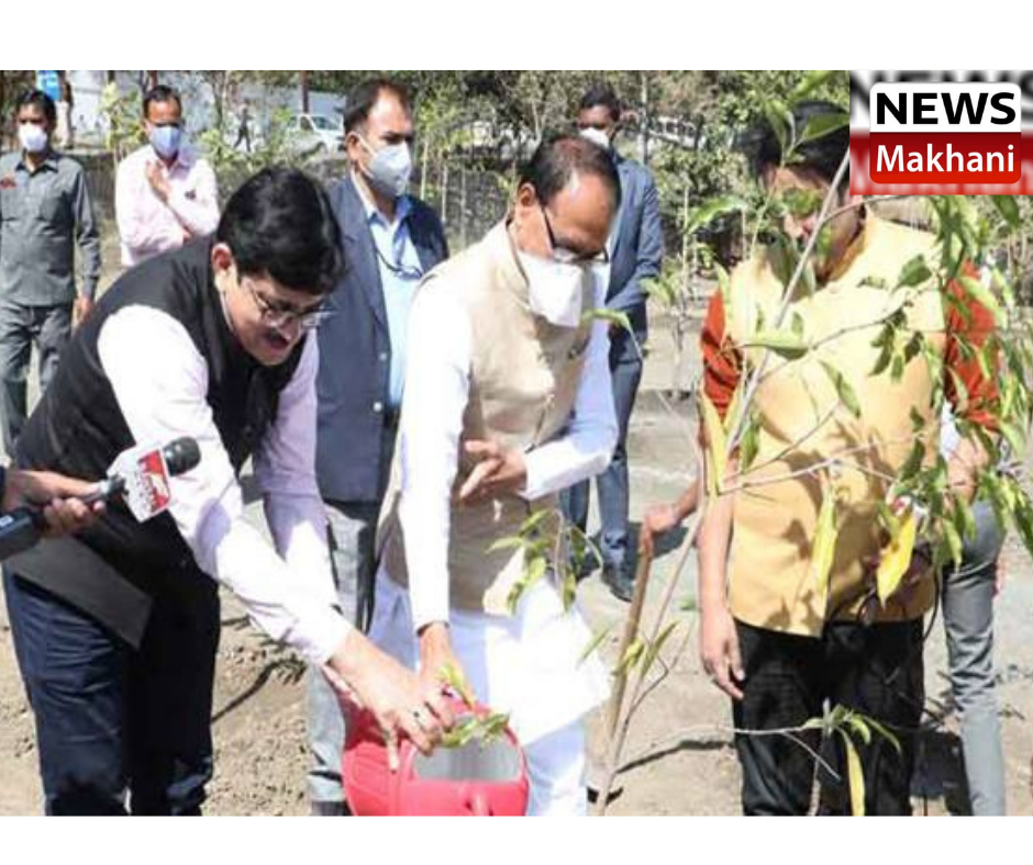 png_20220204_192742_0000